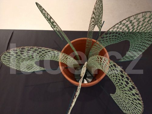 Ručně paličkovaná krajka, Dana Mihulková, lace.cz