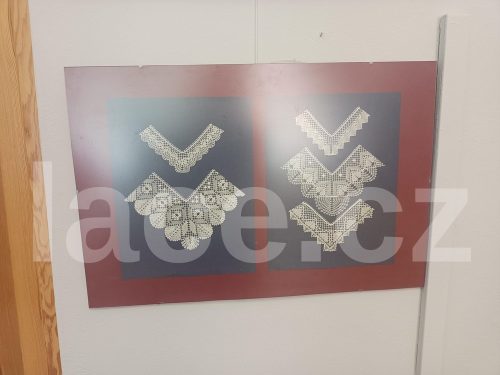 Výstava_Lavičková_Knap_Vamberk_2026 (15)