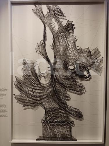 Ručně paličkovaná krajka, Dana Mihulková, lace.cz