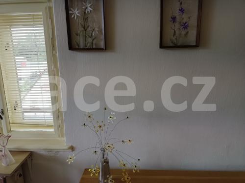 Ručně paličkovaná krajka, Dana Mihulková, lace.cz