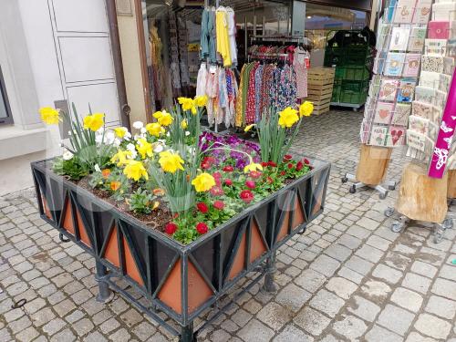 Ručně paličkovaná krajka, Dana Mihulková, lace.cz